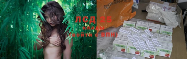 ГАЛЛЮЦИНОГЕННЫЕ ГРИБЫ Нефтегорск