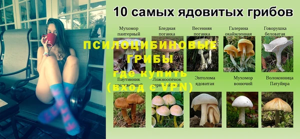 ECSTASY Навашино